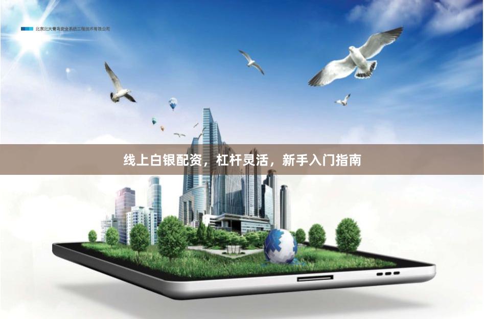 线上白银配资，杠杆灵活，新手入门指南