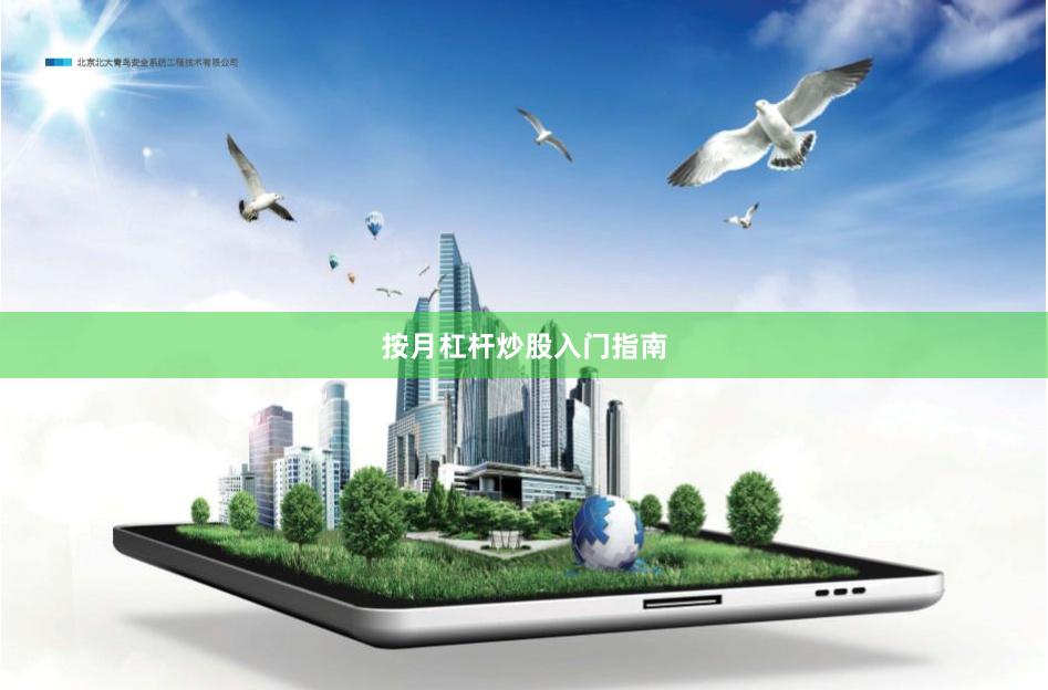按月杠杆炒股入门指南